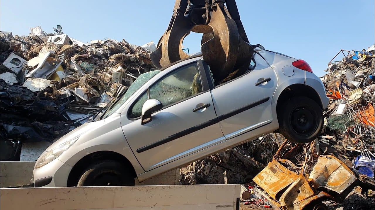 Vision for the Future